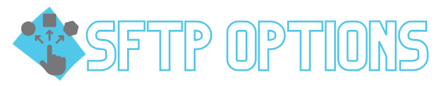 title- options